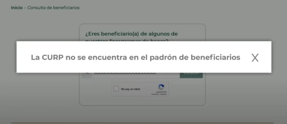  Mensaje “CURP no encontrada en el padrón” al consultar estatus de beca Benito Juárez
